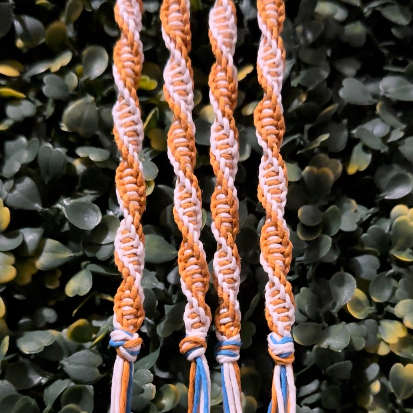 DNA - Golden Orange & White